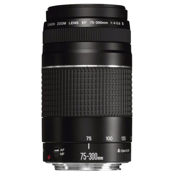 Canon EOS1300D Digital SLR Camera + EFS 18-55mm DC + EF 75-300mm III Lens Canon EOS1300D Digital SLR Camera + EFS 18-55mm DC + EF 75-300mm III Lens