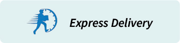 EXPRESS DELIVERY