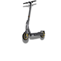 Electric Scooters