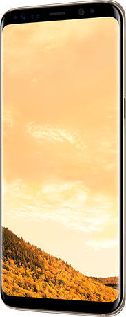 Samsung Galaxy S8 4G Dual Sim Smartphone 64GB Maple Gold ( *T&C Apply ) Samsung Galaxy S8 4G Dual Sim Smartphone 64GB Maple Gold ( *T&C Apply )