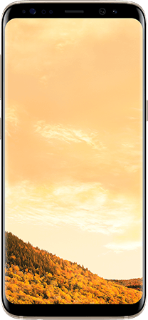 Samsung Galaxy S8 4G Dual Sim Smartphone 64GB Maple Gold ( *T&C Apply ) Samsung Galaxy S8 4G Dual Sim Smartphone 64GB Maple Gold ( *T&C Apply )