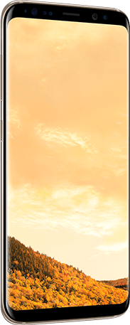 Samsung Galaxy S8 4G Dual Sim Smartphone 64GB Maple Gold ( *T&C Apply ) Samsung Galaxy S8 4G Dual Sim Smartphone 64GB Maple Gold ( *T&C Apply )