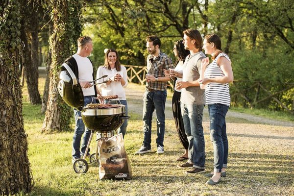 Napoleon PRO22KLEG Charcoal Kettle Grill Napoleon PRO22KLEG Charcoal Kettle Grill