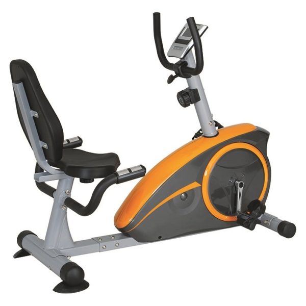 Skyland Magnetic Recumbent Exercise Bike EM1536 Skyland Magnetic Recumbent Exercise Bike EM1536