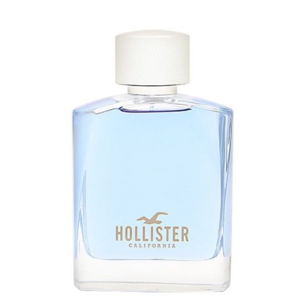 Buy Hollister Wave Perfume For Men 100ml Eau de Toilette – Price ...