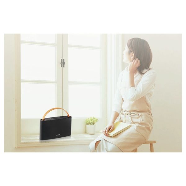 F&D Portable Bluetooth Speaker Black W17 F&D Portable Bluetooth Speaker Black W17