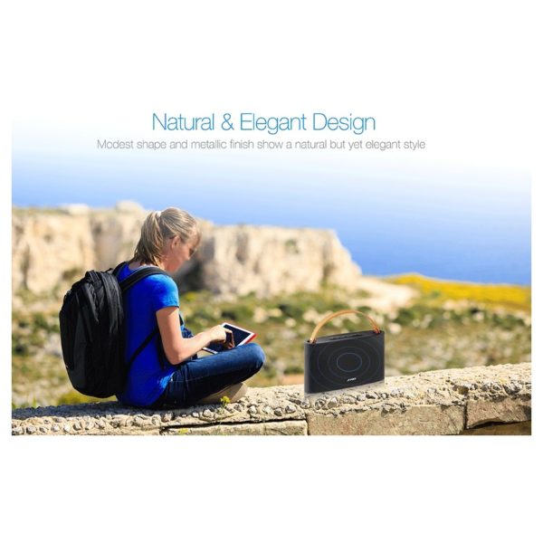 F&D Portable Bluetooth Speaker Black W17 F&D Portable Bluetooth Speaker Black W17