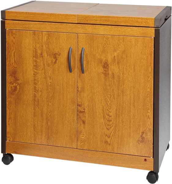 Hostess Food Warmer HL6232GO Hostess Food Warmer HL6232GO
