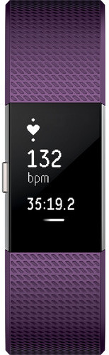 Fitbit Charge 2 Wristband Laryon Plum Silver Small - FB407SPMSEU Fitbit Charge 2 Wristband Laryon Plum Silver Small - FB407SPMSEU