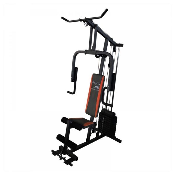 Skyland Gym Station GM8133 Skyland Gym Station GM8133