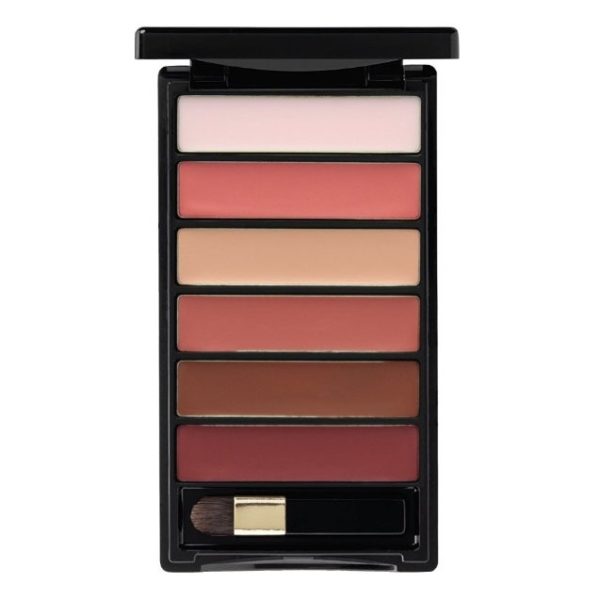 Loreal Color Riche Lipstick Matte Pallet Nude Lipstick Loreal Color Riche Lipstick Matte Pallet Nude Lipstick