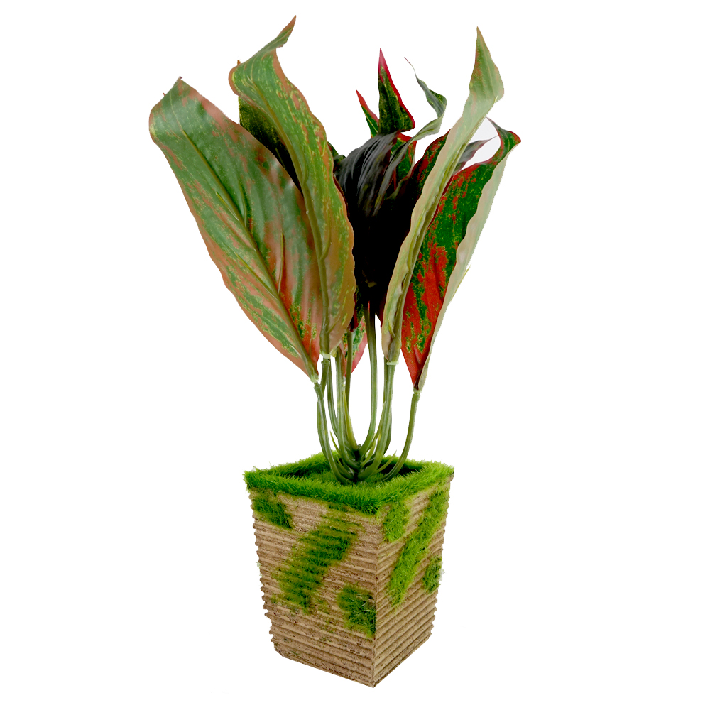 Rosso SDROSS26 Artificial Plant Green