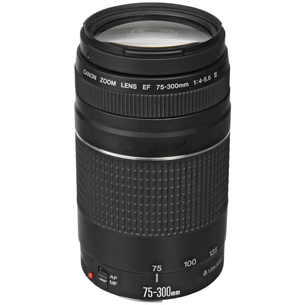 Canon EOS 4000D DSLR Camera Body Black + EFS 18-55MM DC III Black Kit + EF 75-300MM 1:4-5 6 III + EF 50MM 1.8 STM Canon EOS 4000D DSLR Camera Body Black + EFS 18-55MM DC III Black Kit + EF 75-300MM 1:4-5 6 III + EF 50MM 1.8 STM
