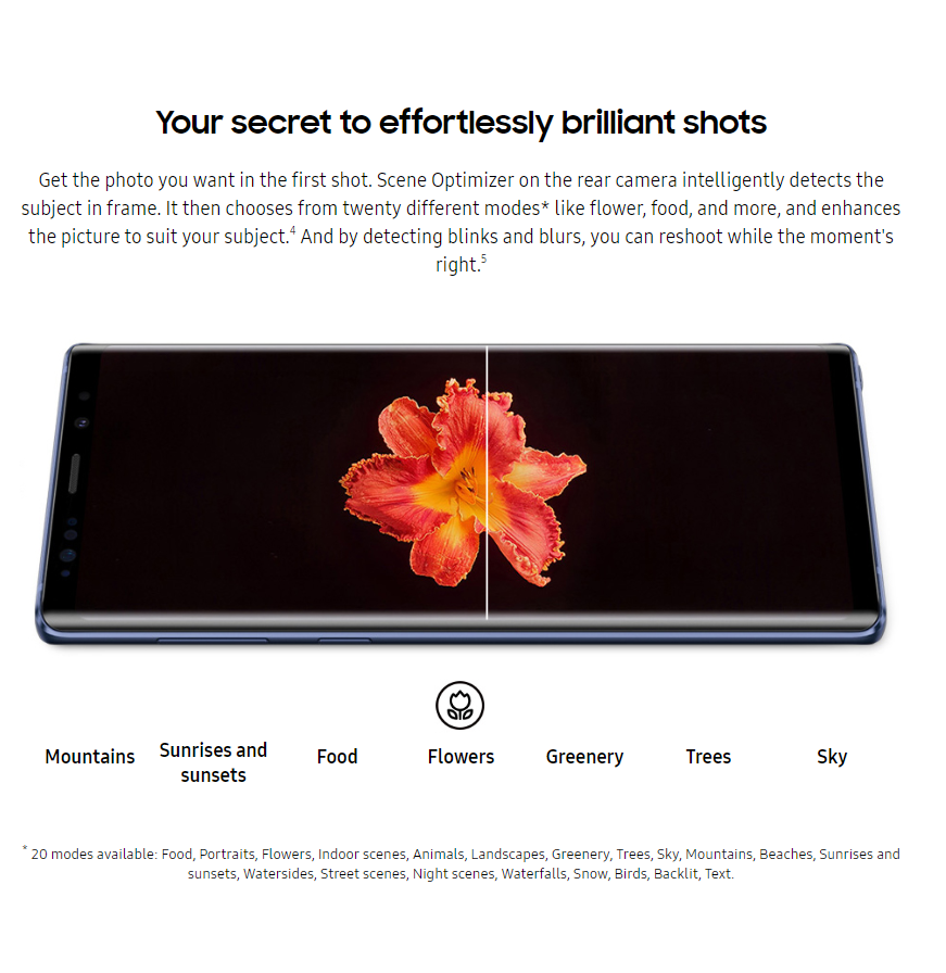 camera_dual.image_2_title