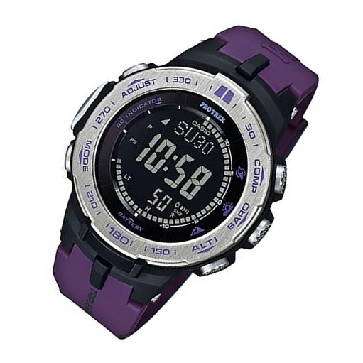 casio 3100t