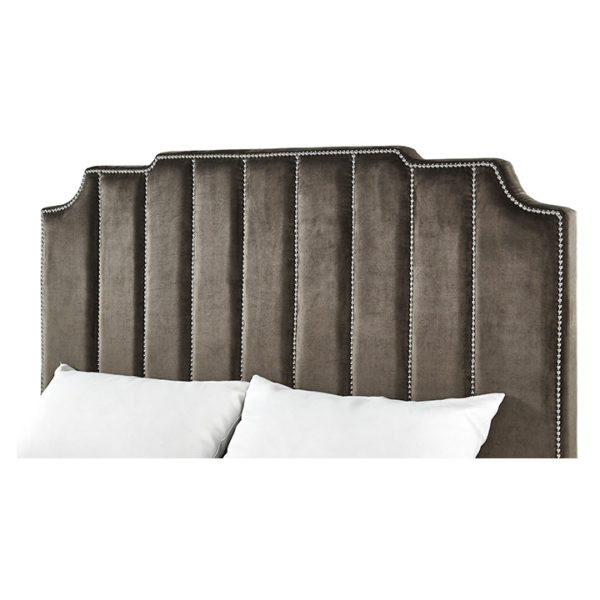 Chareau Velvet Upholstered Nailhead King Bed without Mattress Brown Chareau Velvet Upholstered Nailhead King Bed without Mattress Brown