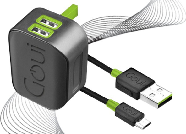 Goui GTC2USB01K Spot Wall Charger + Micro Cable