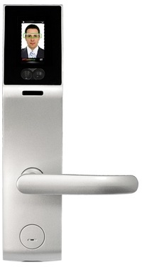 ZK Bio Lock FL1000 Smart Lock with Face Recognition Silver