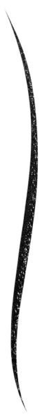 Bourjois Liner Reveal Shine Eyeliner/01 Shiny Black Bourjois Liner Reveal Shine Eyeliner/01 Shiny Black