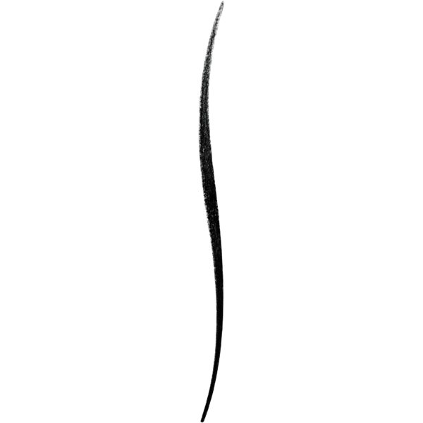 Bourjois Contour Clubbing Waterproof Pencil & Liner 41 Black Party Bourjois Contour Clubbing Waterproof Pencil & Liner 41 Black Party