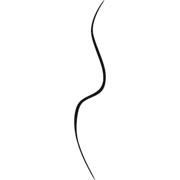 Bourjois, Liner Feutre Slim. Eyeliner. 16 Noir Bourjois, Liner Feutre Slim. Eyeliner. 16 Noir