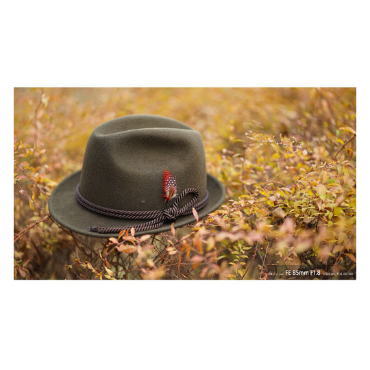 Sony FE 85mm f/1.8 Lens SEL85F18 Sony FE 85mm f/1.8 Lens SEL85F18