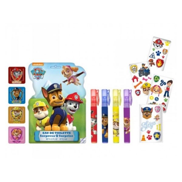 paw patrol surprise bag