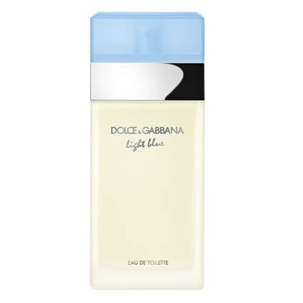 dolce and gabbana light blue 100ml price