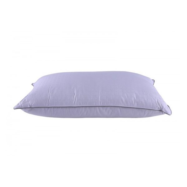 Buy Antibacterial Dobby Pillow 300tc White Price Specifications