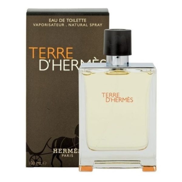 Buy Hermes Terre DâHermes For Men 100ml Eau de Toilette â Price, Specifications & Features 