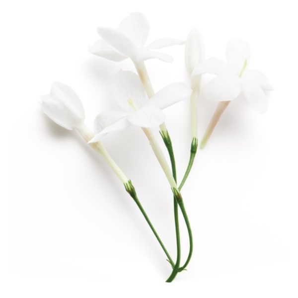 si le parfum 40 ml