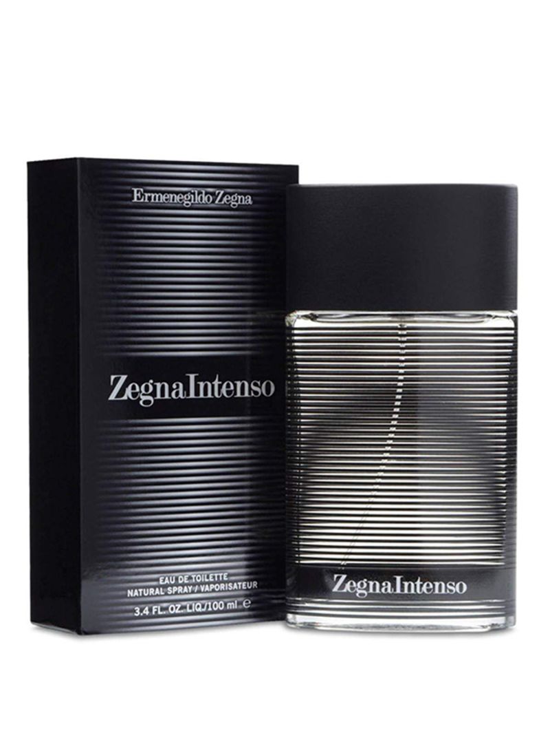 Ermenegildo Zegna Intenso Perfume for Men 100ml Eau de Toilette