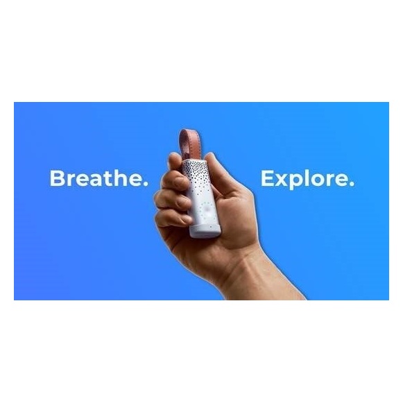 Flow - The Personal Air Pollution Sensor Flow - The Personal Air Pollution Sensor