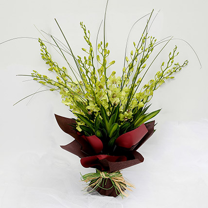 10 Green Mokara Orchids Bouquet 10 Green Mokara Orchids Bouquet