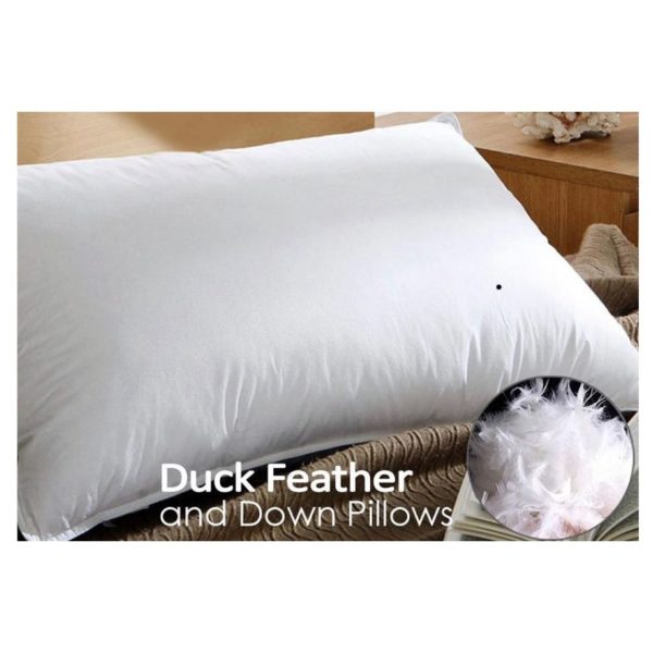 Buy Feather Pillow 100 Cotton Price Specifications Features