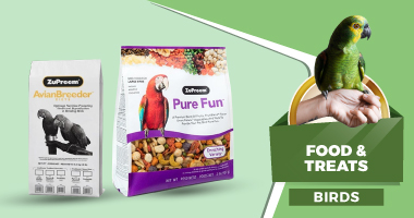 Birds - Food & Treats