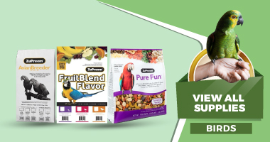 Birds - View All Supplies