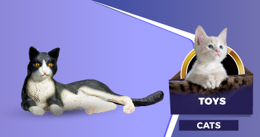 Cat - Toys