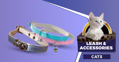 Cat - Leash & Accessories