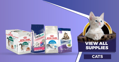 Cat - View All Supplies