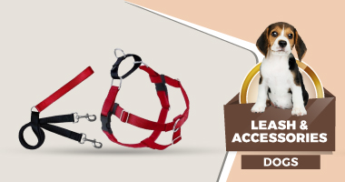 Dogs - Leash & Accessories