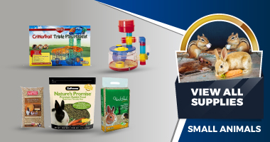 Small Animals - All Supplies