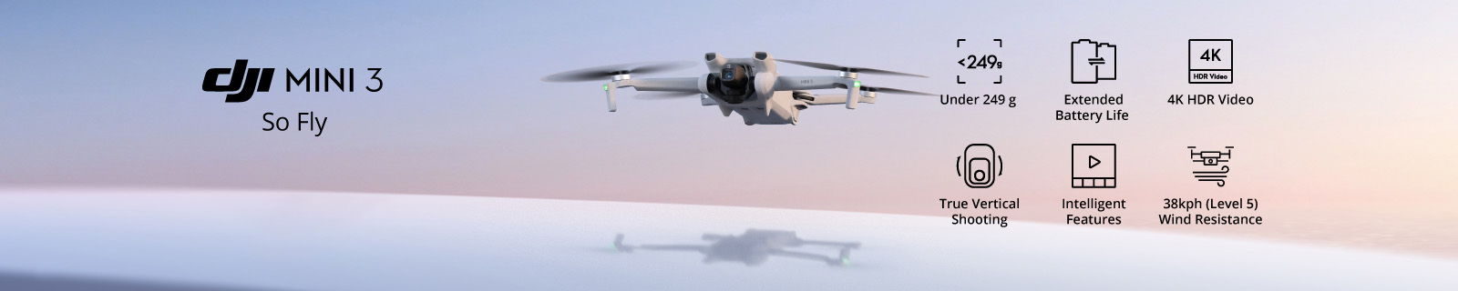 DJI Mini 3 LP- Desktop