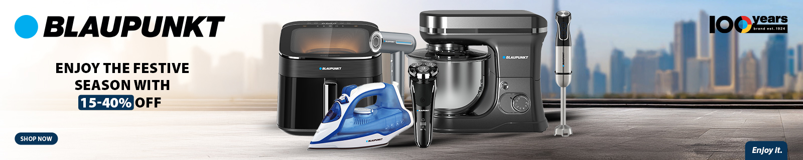 EN blaupunkt Offers Brand LP - Desktop