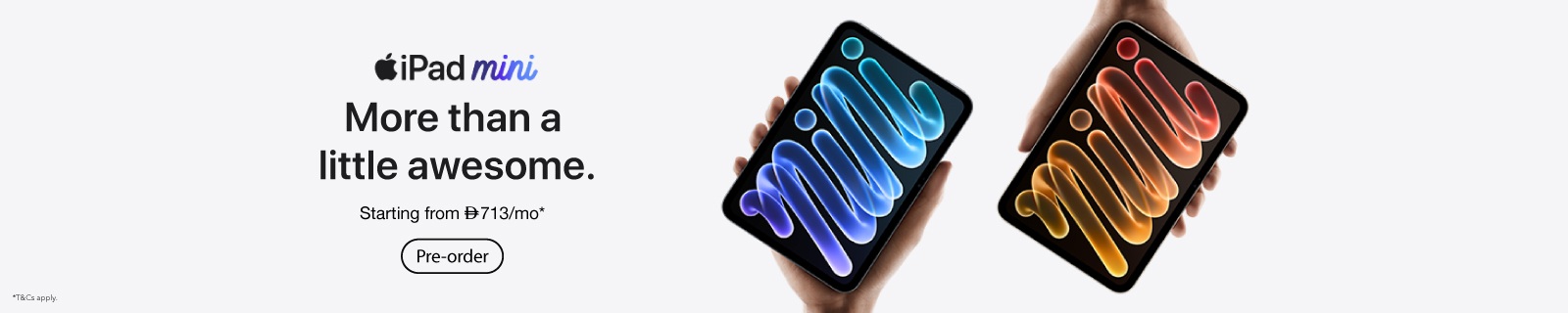 EN Apple iPad Mini A20 Pro LP - Desktop